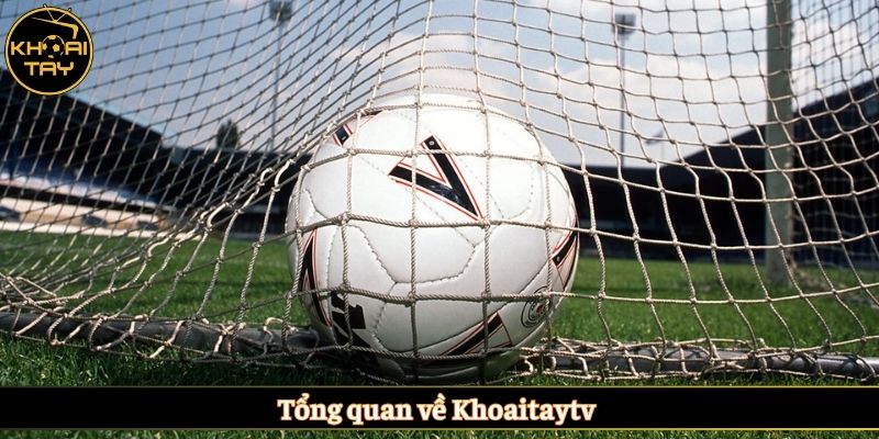 Tổng quan về Khoaitaytv